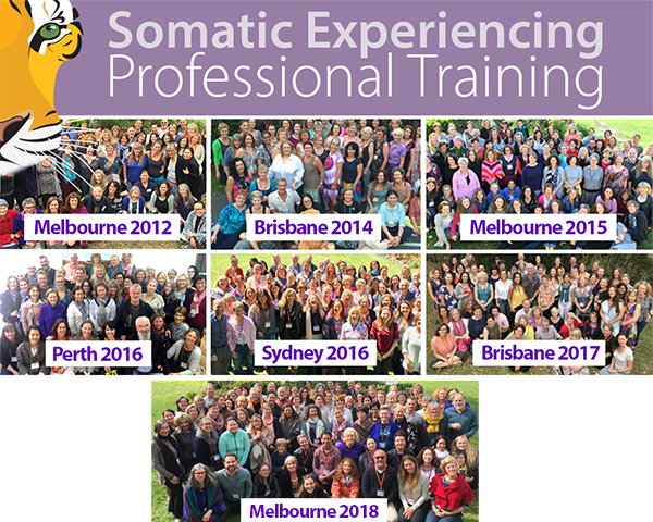 Somatic Experiencing Training - Apply Now